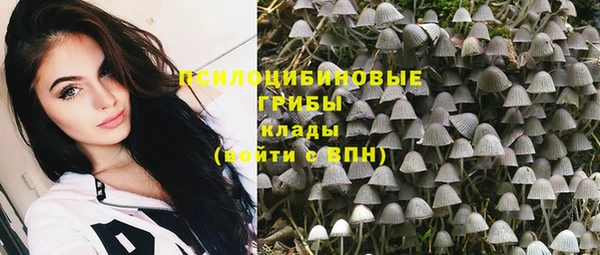 кокс Аркадак