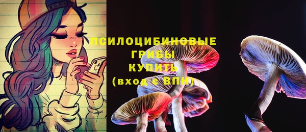 кокс Аркадак